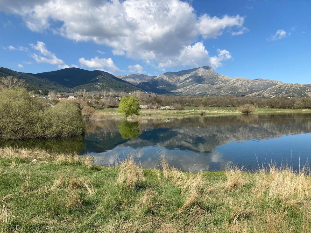 Los Cedros, Gran Chalet Con Piscina Y Apartamento En Navacerrada Villa ภายนอก รูปภาพ